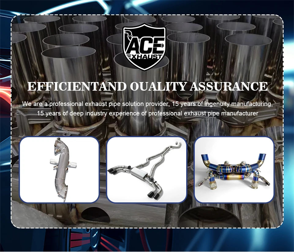 ACE Stainless Steel Exhaust Performance for Lexus IS250/ IS300 / IS350 F Sport V6 Valved Muffler Catback Exhaust Systems with Tips.